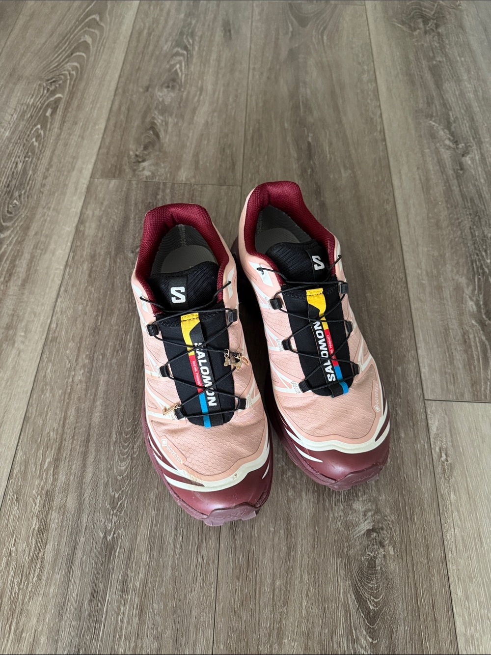 Salomon Xt6 Gortex